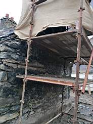 coom_10005040.jpg