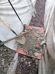 coom_10005210.jpg
