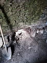 coom_10005290.jpg