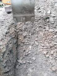 coom_10005490.jpg