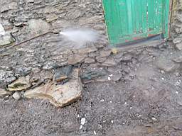 coom_10005730.jpg