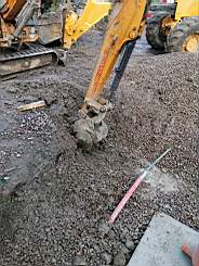 coom_10005910.jpg