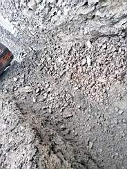coom_10005950.jpg