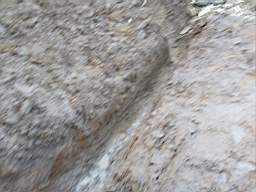 coom_10006200.jpg