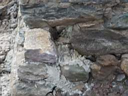 coom_10006470.jpg