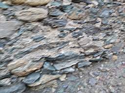 coom_10006690.jpg