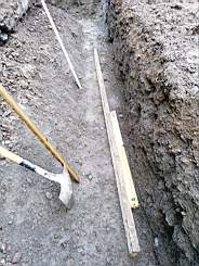 coom_10006730.jpg