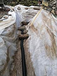 coom_10006750.jpg
