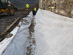 coom_10006760.jpg