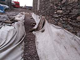 coom_10007750.jpg