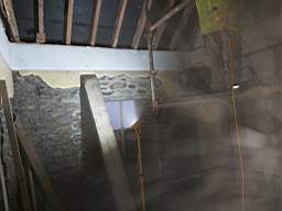 coom_10007910.jpg