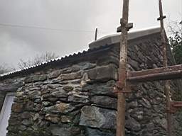 coom_10008080.jpg