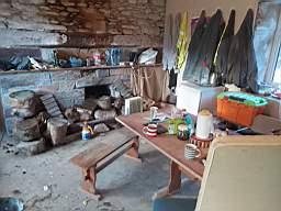 coom_10008090.jpg