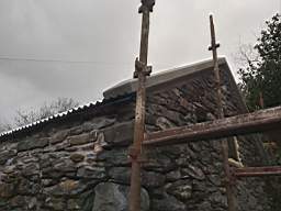coom_10008170.jpg