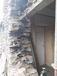 coom_10008270.jpg