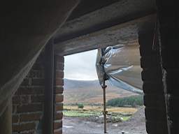 coom_10008350.jpg