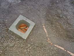 coom_10008360.jpg