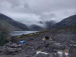 coom_10008500.jpg