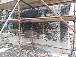 coom_10008680.jpg