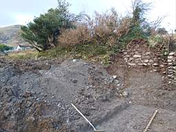 coom_10009330.jpg