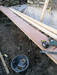 coom_10009390.jpg