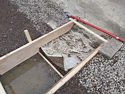 coom_10009530.jpg
