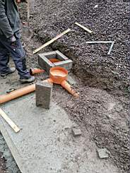 coom_10009790.jpg