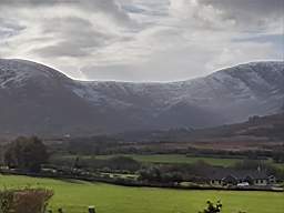 coom_10009950.jpg