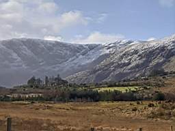 coom_10010050.jpg