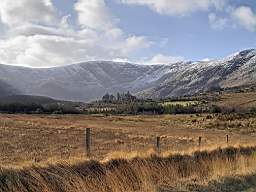 coom_10010060.jpg