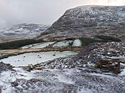 coom_10010290.jpg