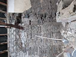 coom_10010440.jpg