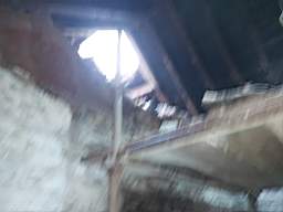 coom_10010450.jpg