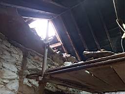 coom_10010460.jpg