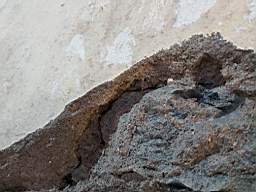 coom_10010490.jpg
