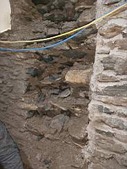 coom_10010550.jpg