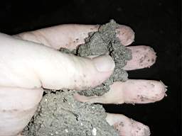 coom_10010560.jpg