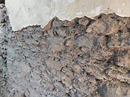 coom_10010580.jpg