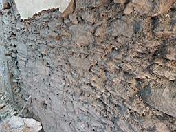 coom_10010600.jpg