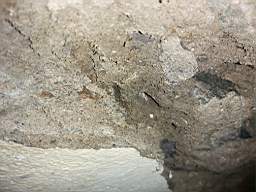 coom_10010650.jpg
