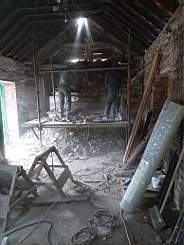 coom_10010660.jpg