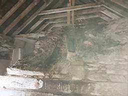 coom_10010670.jpg