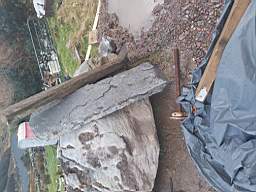 coom_10011140.jpg