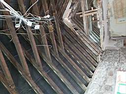 coom_10011190.jpg