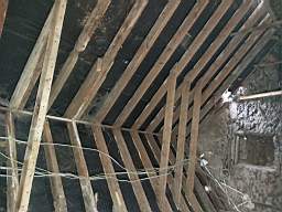 coom_10011200.jpg