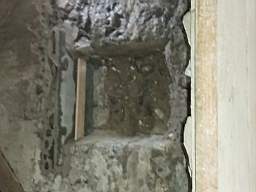 coom_10011220.jpg