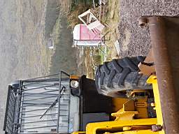 coom_10011230.jpg