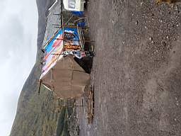 coom_10011250.jpg