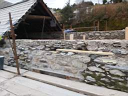 coom_10011470.jpg