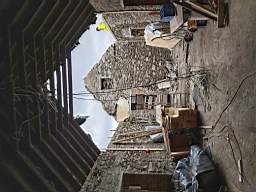 coom_10011550.jpg